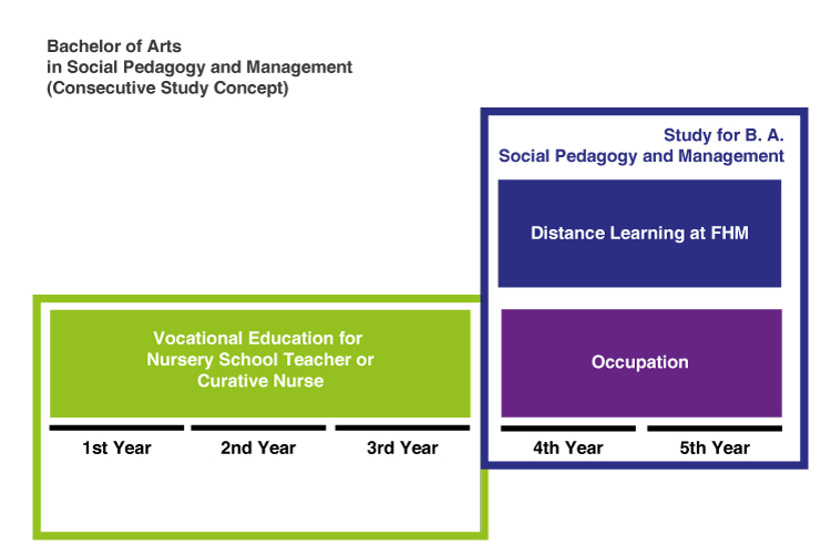 FAWZ_Academic-Education_Study-for-B.A.-Social-Pedagogy-and-Management_Consecutive-Study-Concept